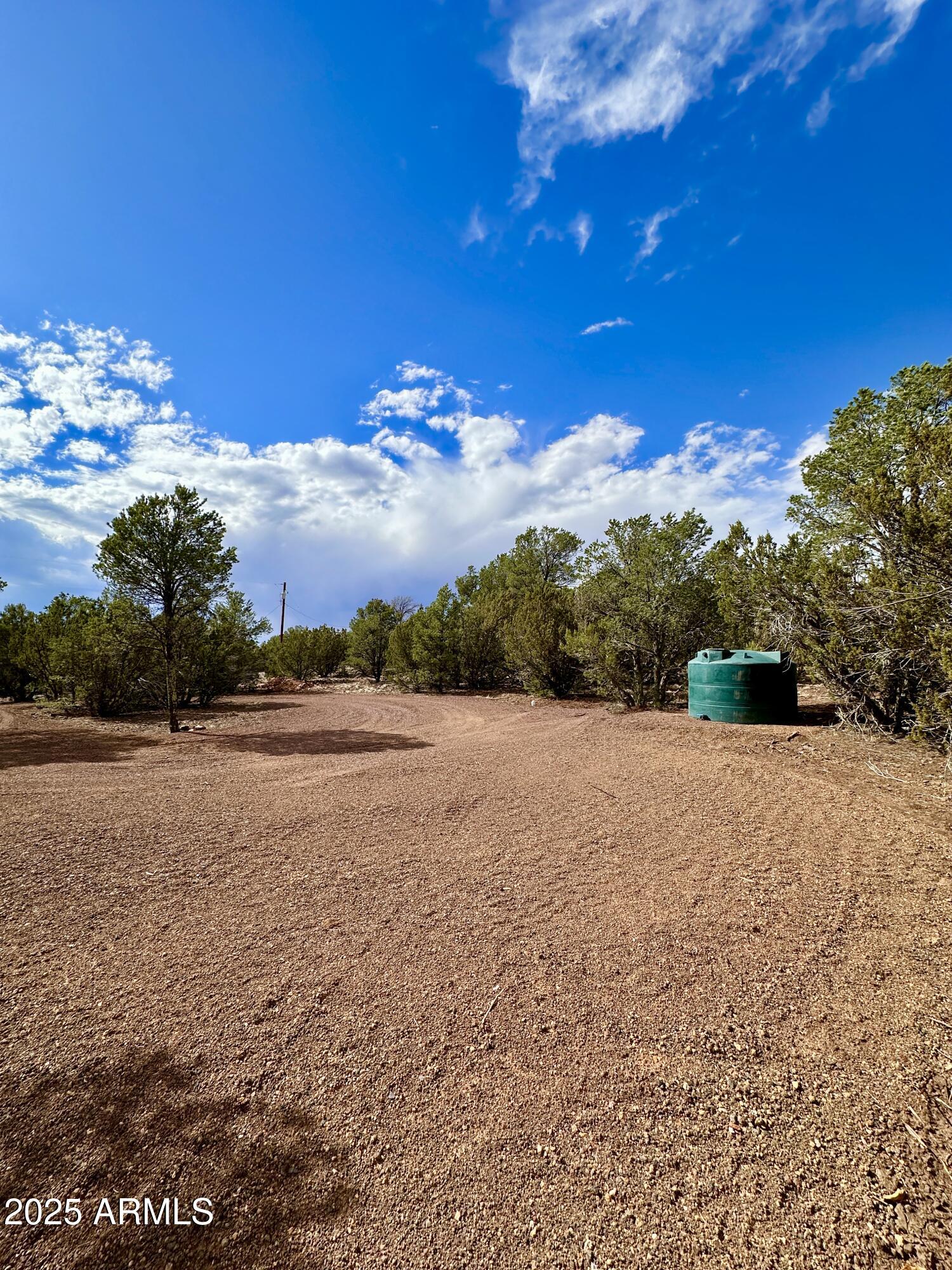 14 County Road, Unit 28 Show Low, AZ 85901 - Photo 12 of 16 a view of lake