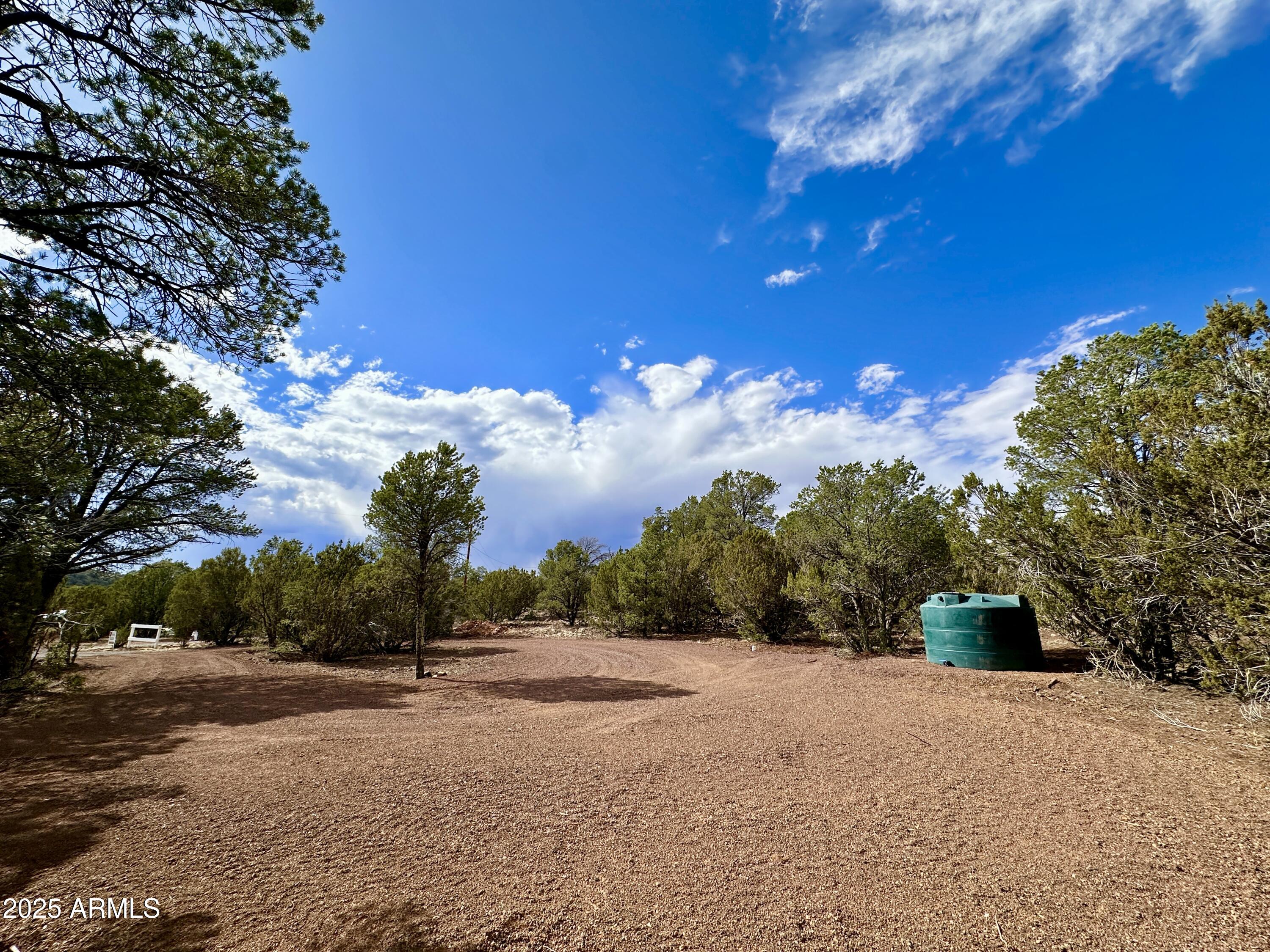 14 County Road, Unit 28 Show Low, AZ 85901 - Photo 13 of 16 a view of street and with trees