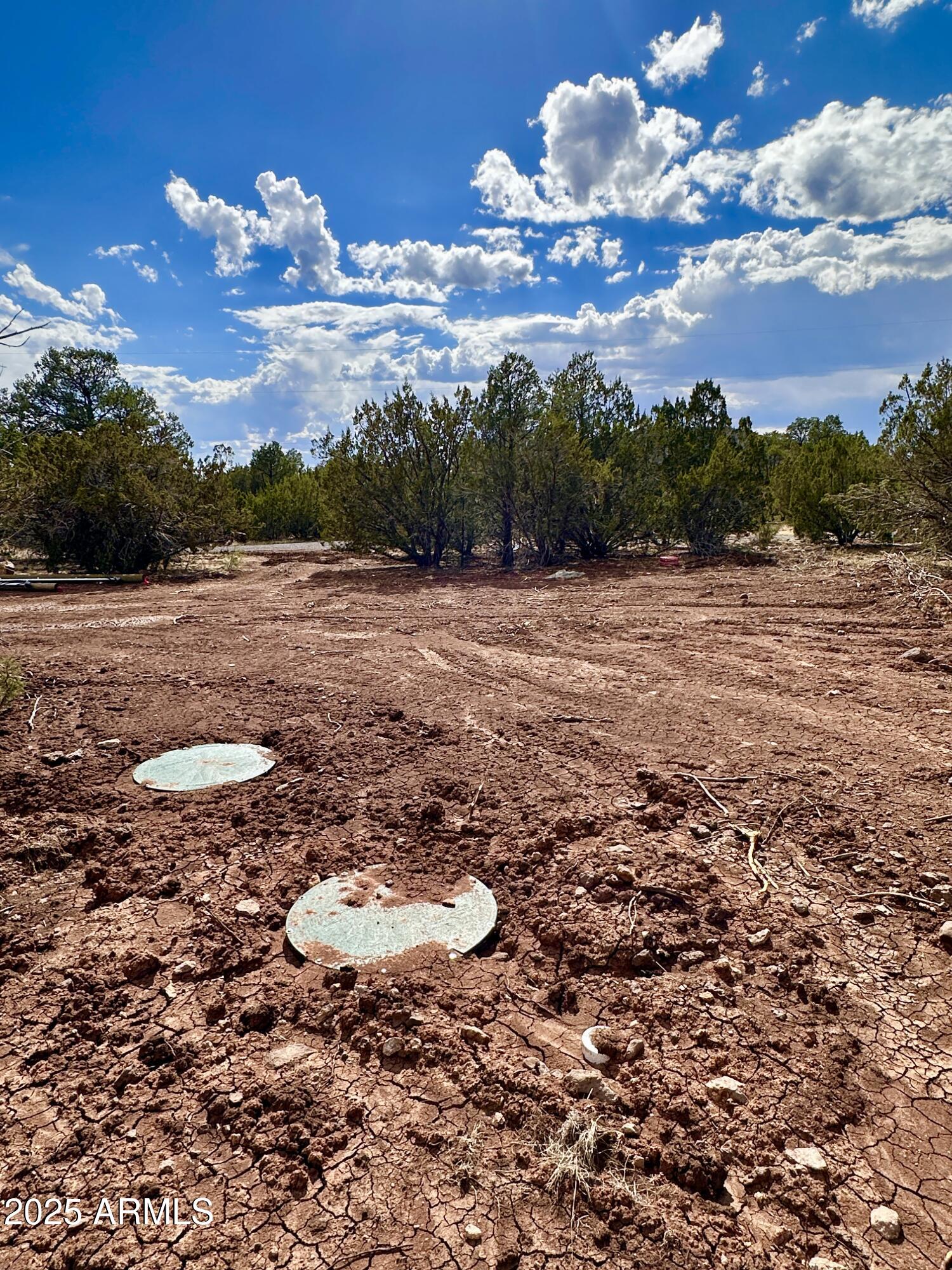 14 County Road, Unit 28 Show Low, AZ 85901 - Photo 14 of 16 a view of a lake with a mountain