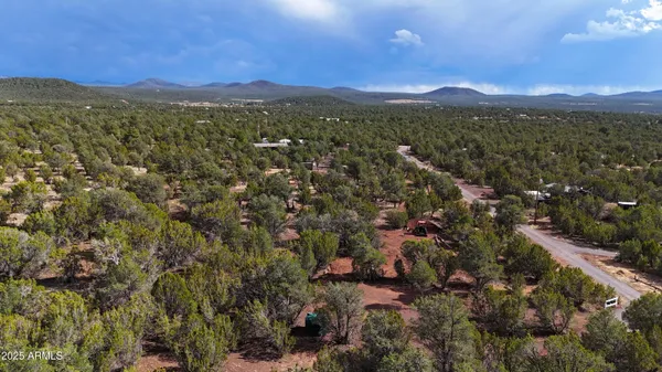 a view of a city with lush green forest