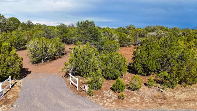 a view of a large yard with lots of trees