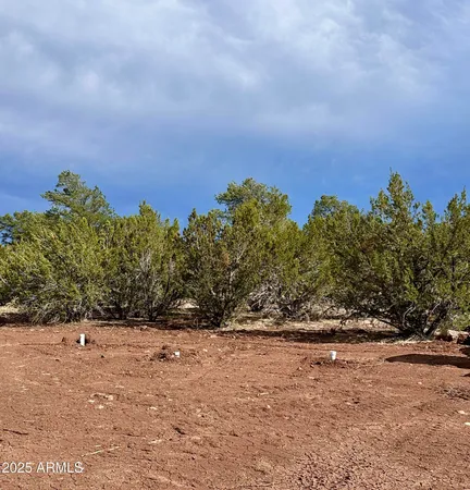 $91,999 | 14 County Road, Unit 28, Show Low, AZ 85901