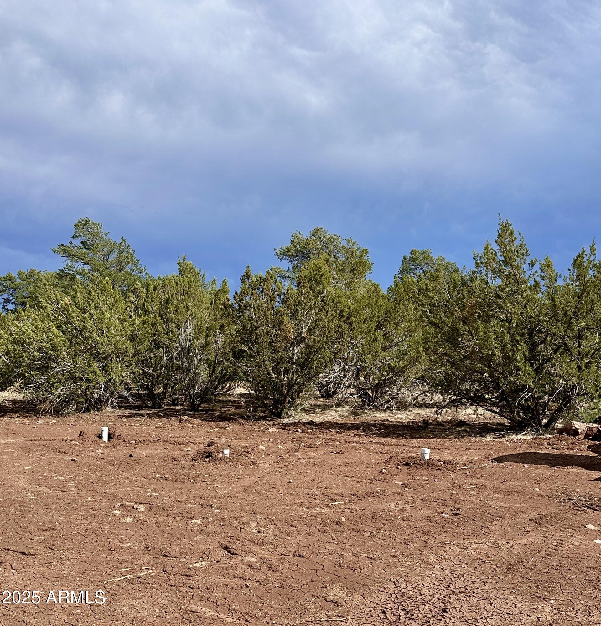 14 County Road, Unit 28 Show Low, AZ 85901 - Photo 23 of 23 FullSizeRender