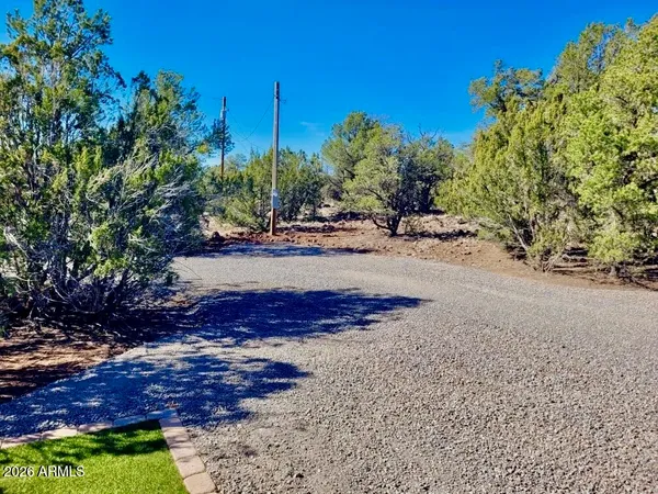 a view of a yard with plants and tree