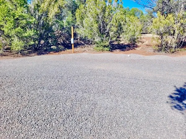 a view of dirt yard with a large tree