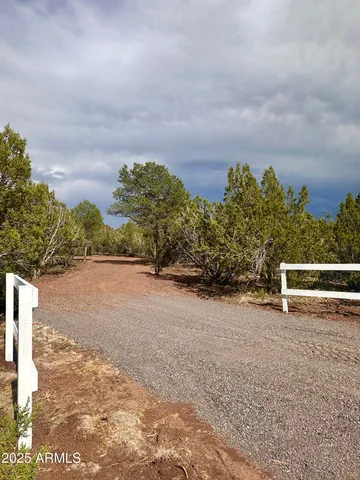 a view of a dry yard with wooden fence