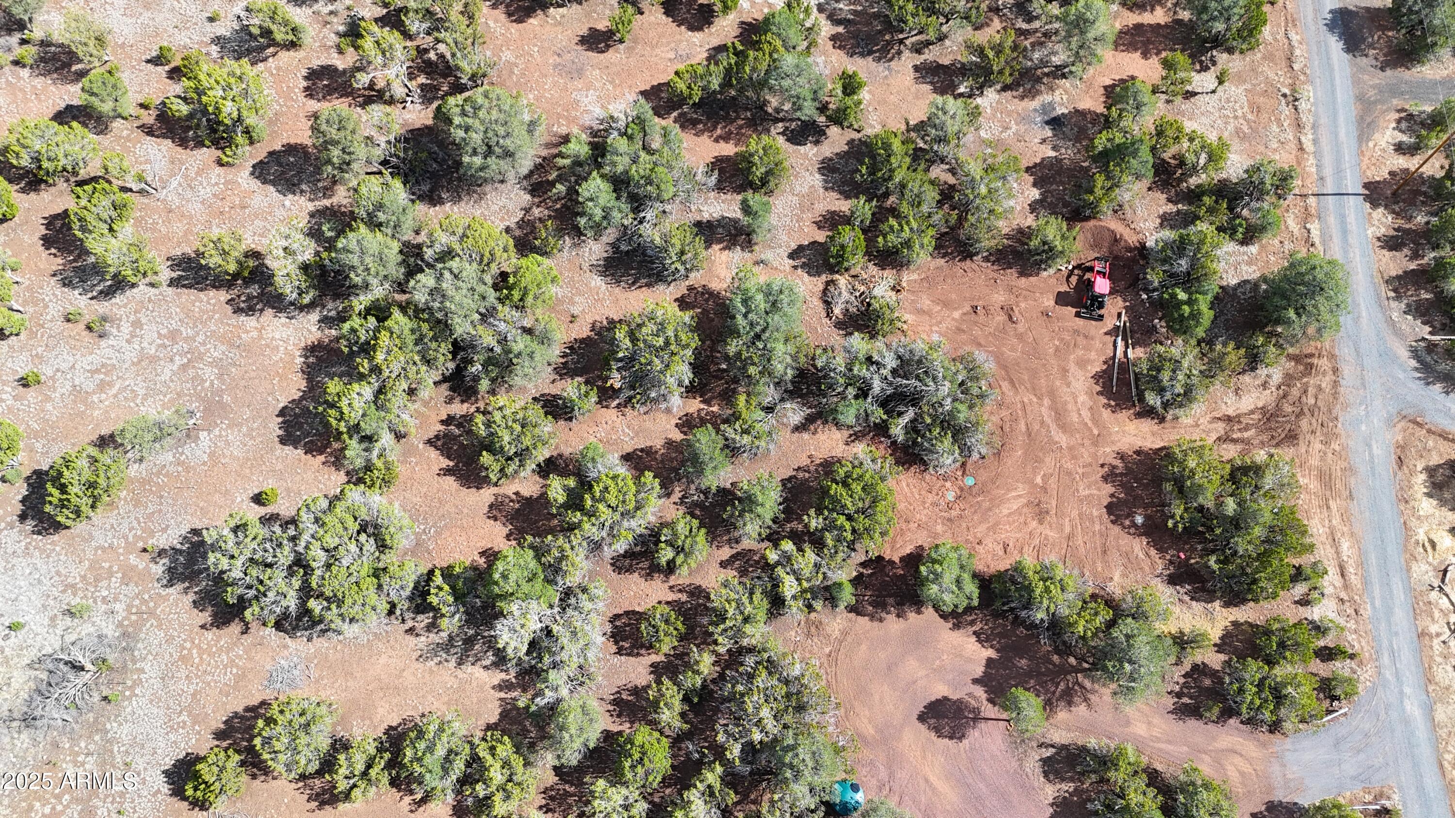 14 County Road, Unit 28 Show Low, AZ 85901 - Photo 5 of 16 a view of plant in a field
