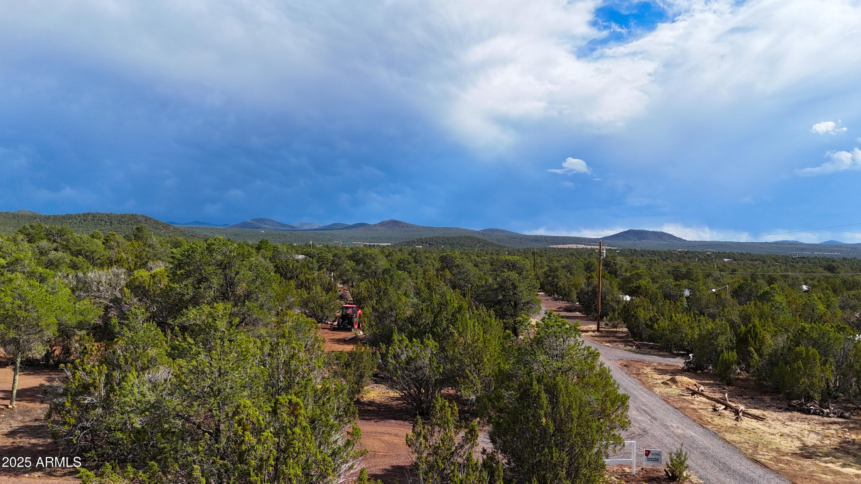 14 County Road, Unit 28 Show Low, AZ 85901 - Photo 8 of 16 a view of a city with lush green forest