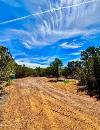 a view of dirt field with trees around