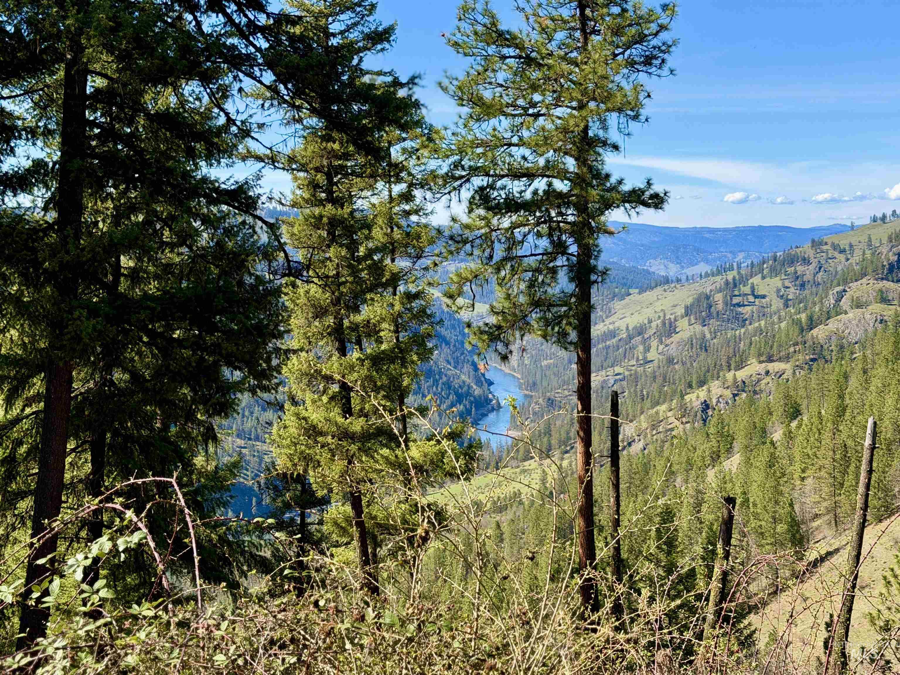4012 State Highway 11 Orofino, ID 83544 - Photo 15 of 25