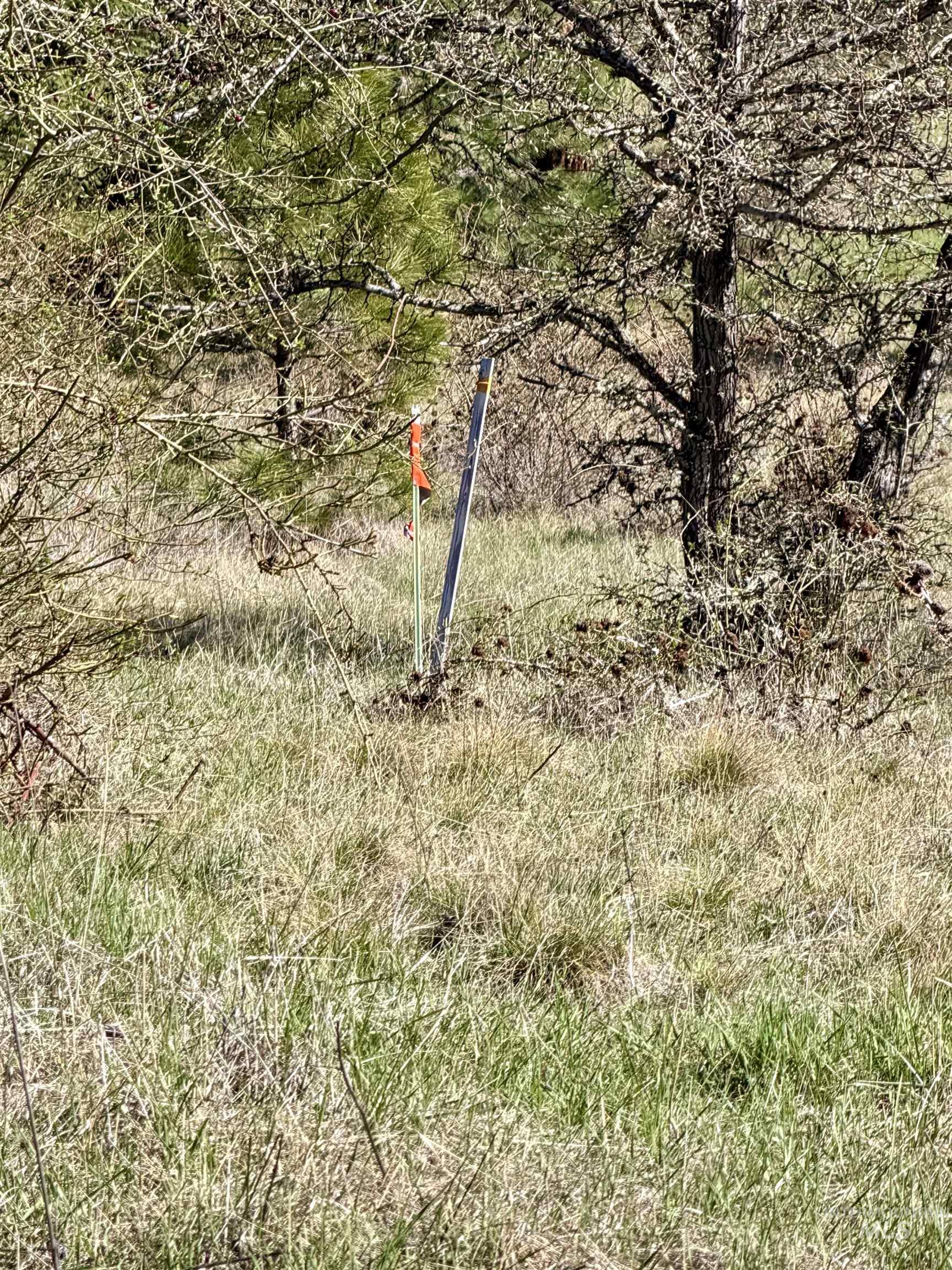 4012 State Highway 11 Orofino, ID 83544 - Photo 16 of 25