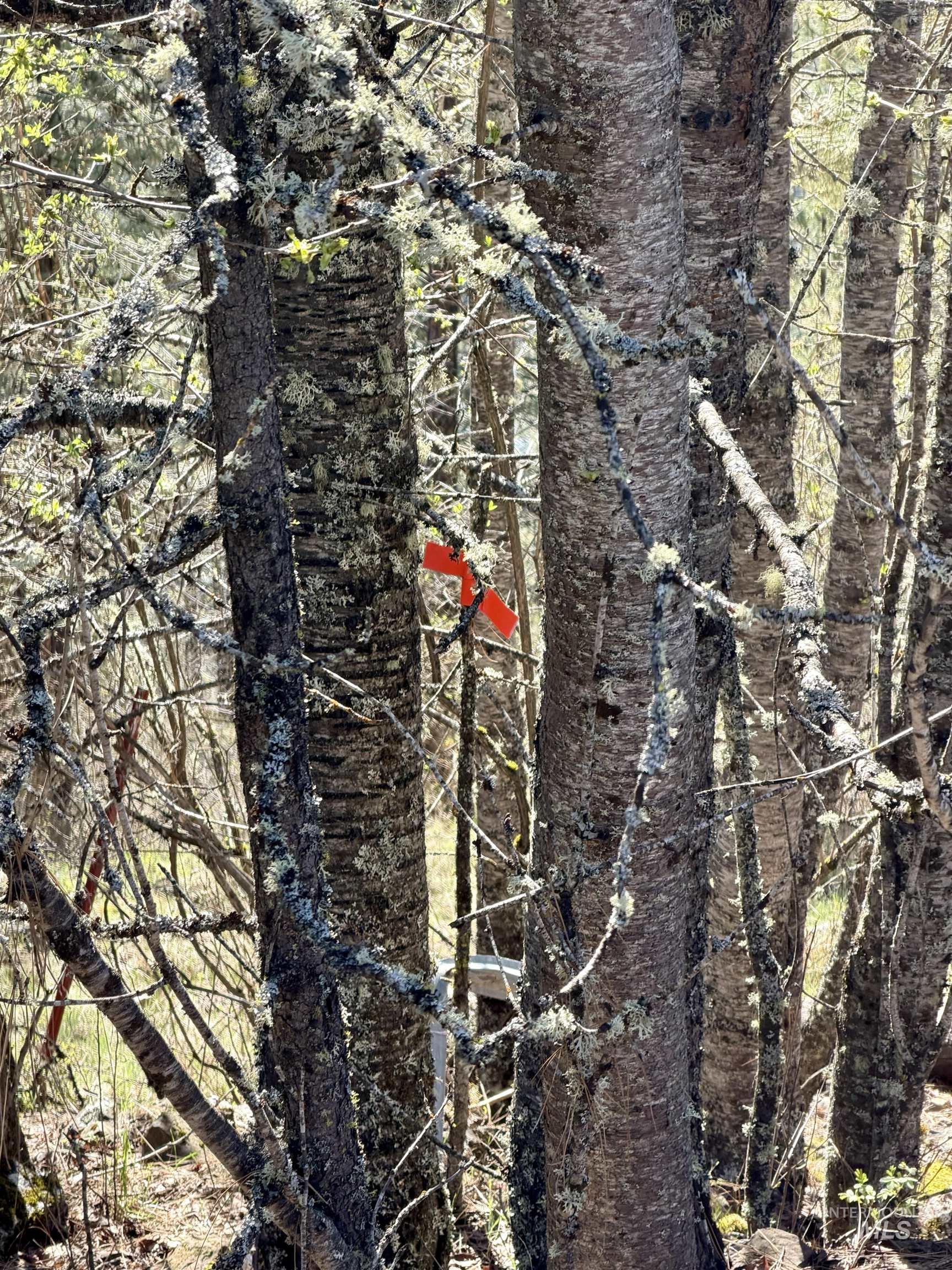 4012 State Highway 11 Orofino, ID 83544 - Photo 17 of 25