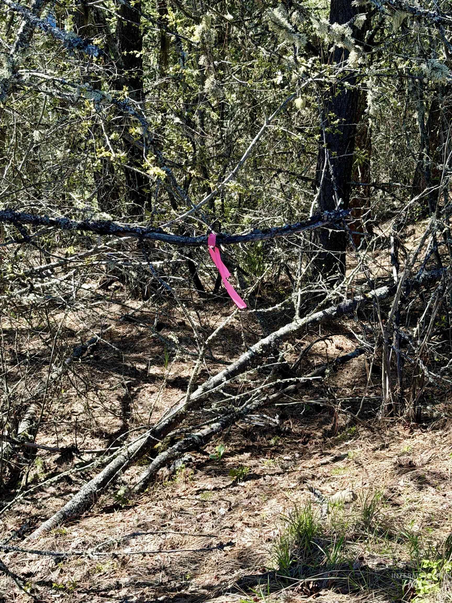 4012 State Highway 11 Orofino, ID 83544 - Photo 18 of 25