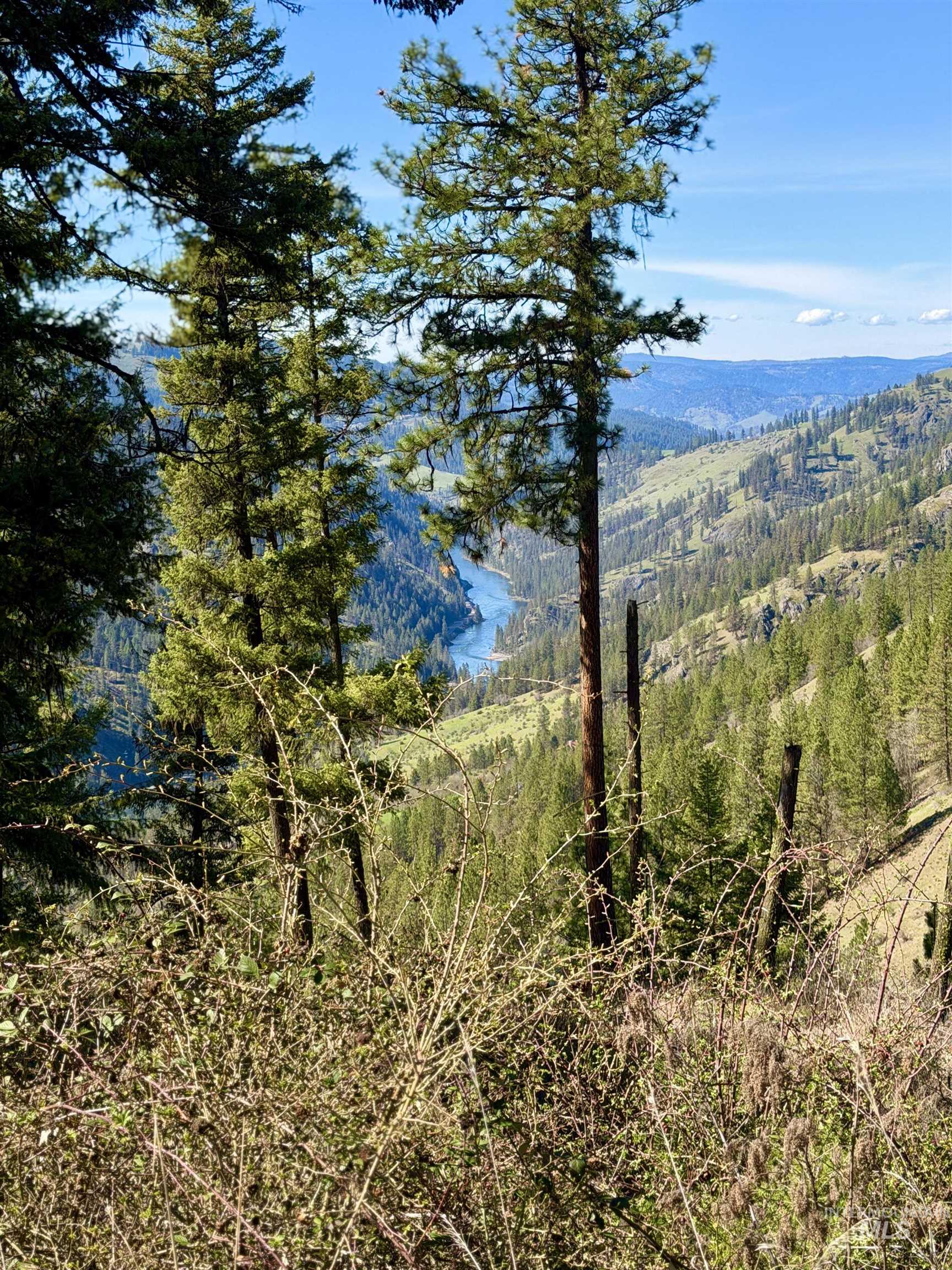 4012 State Highway 11 Orofino, ID 83544 - Photo 2 of 25