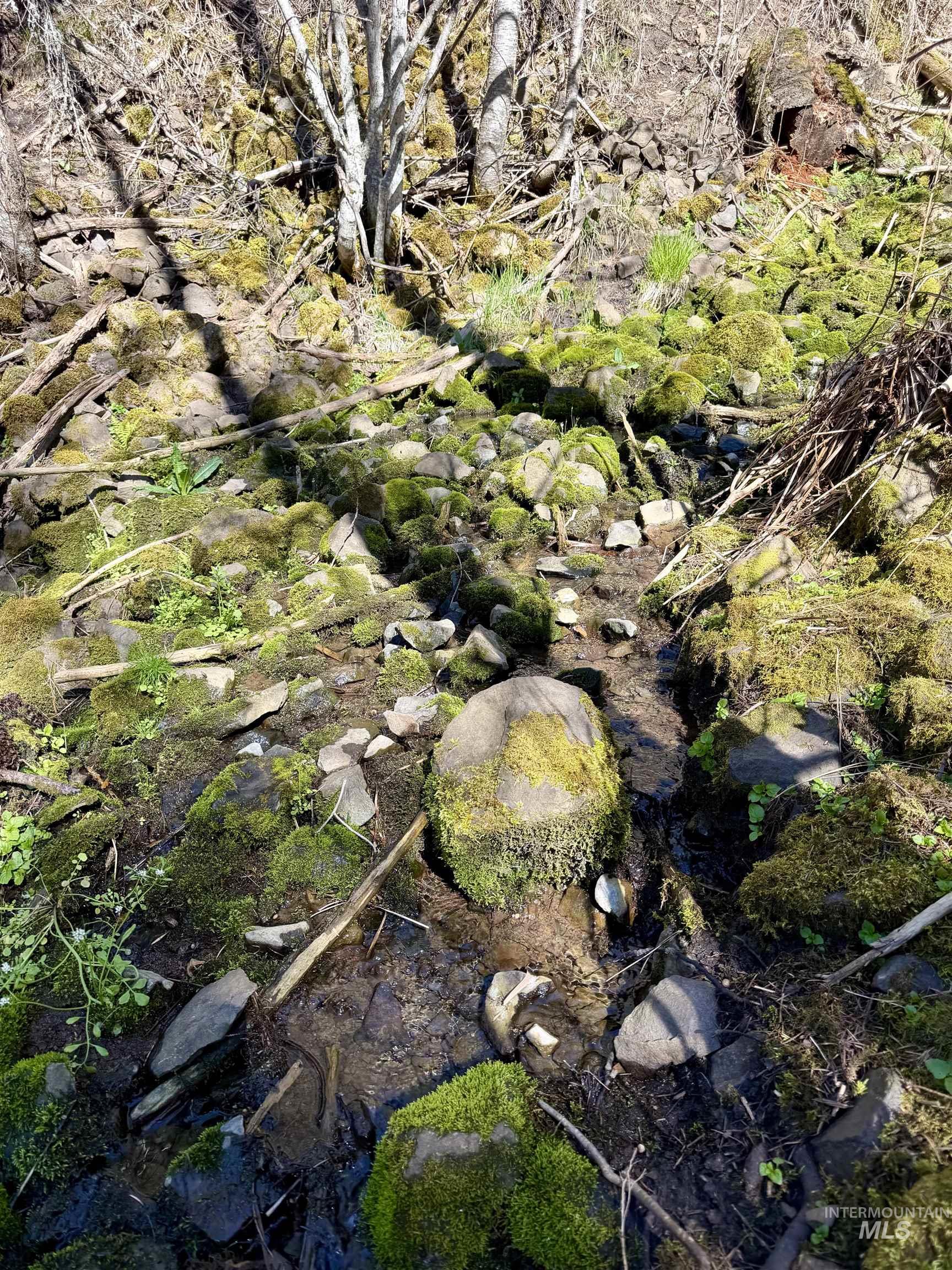 4012 State Highway 11 Orofino, ID 83544 - Photo 9 of 25