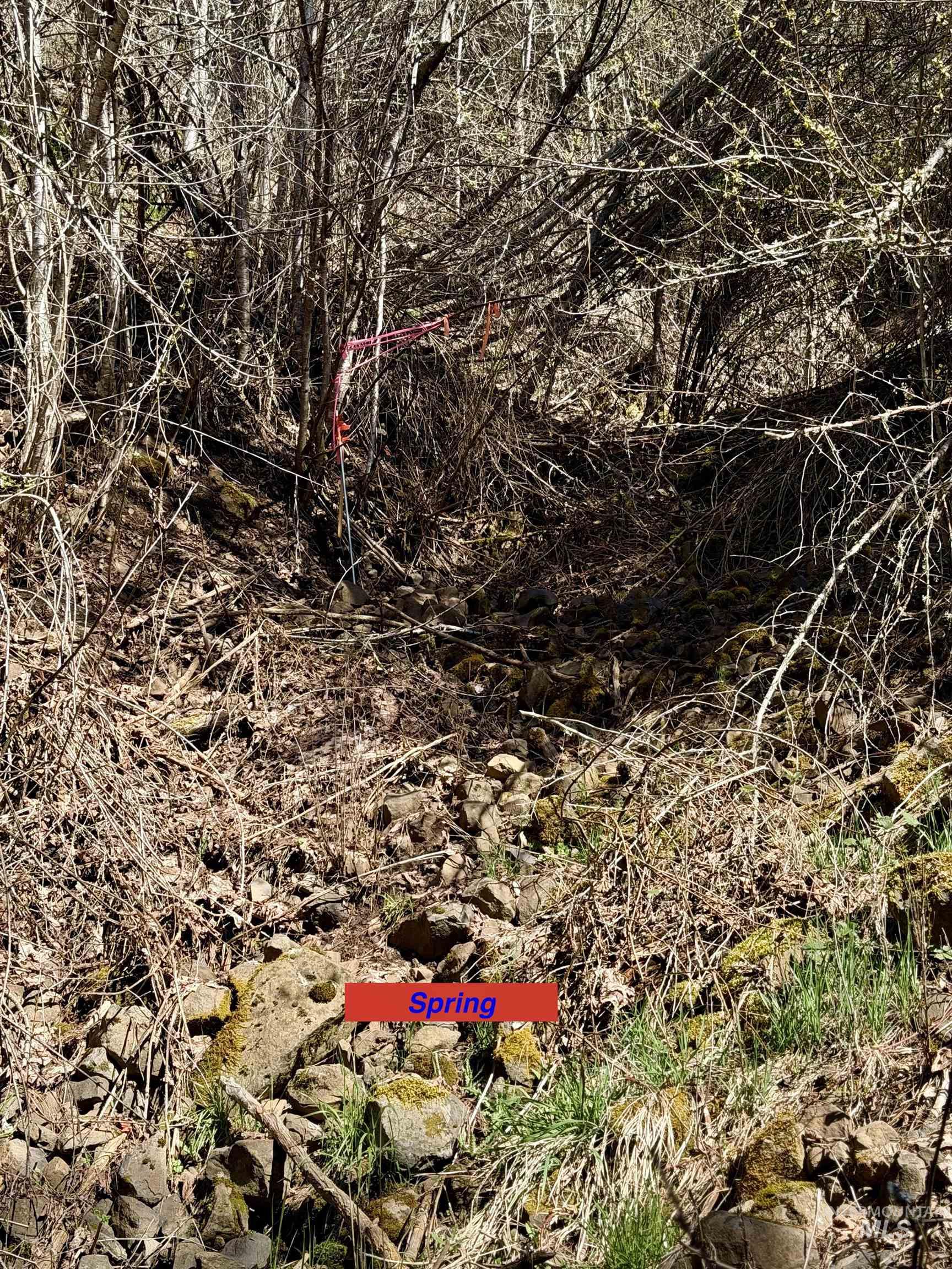 4012 State Highway 11 Orofino, ID 83544 - Photo 10 of 25