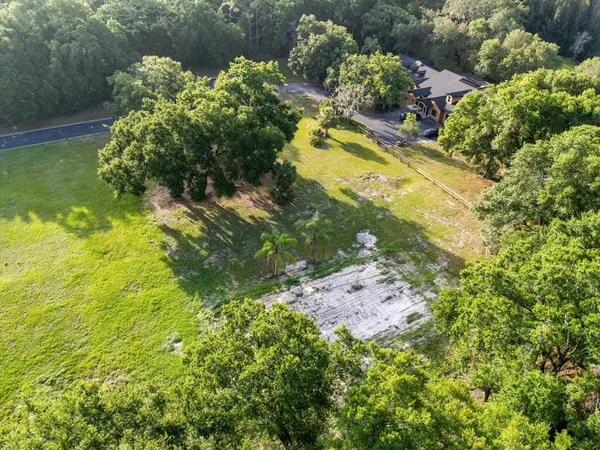 a view of a garden with plants