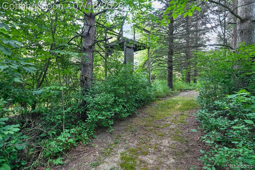 11210 Linden Road Linden, MI 48451 - Photo 45 of 61