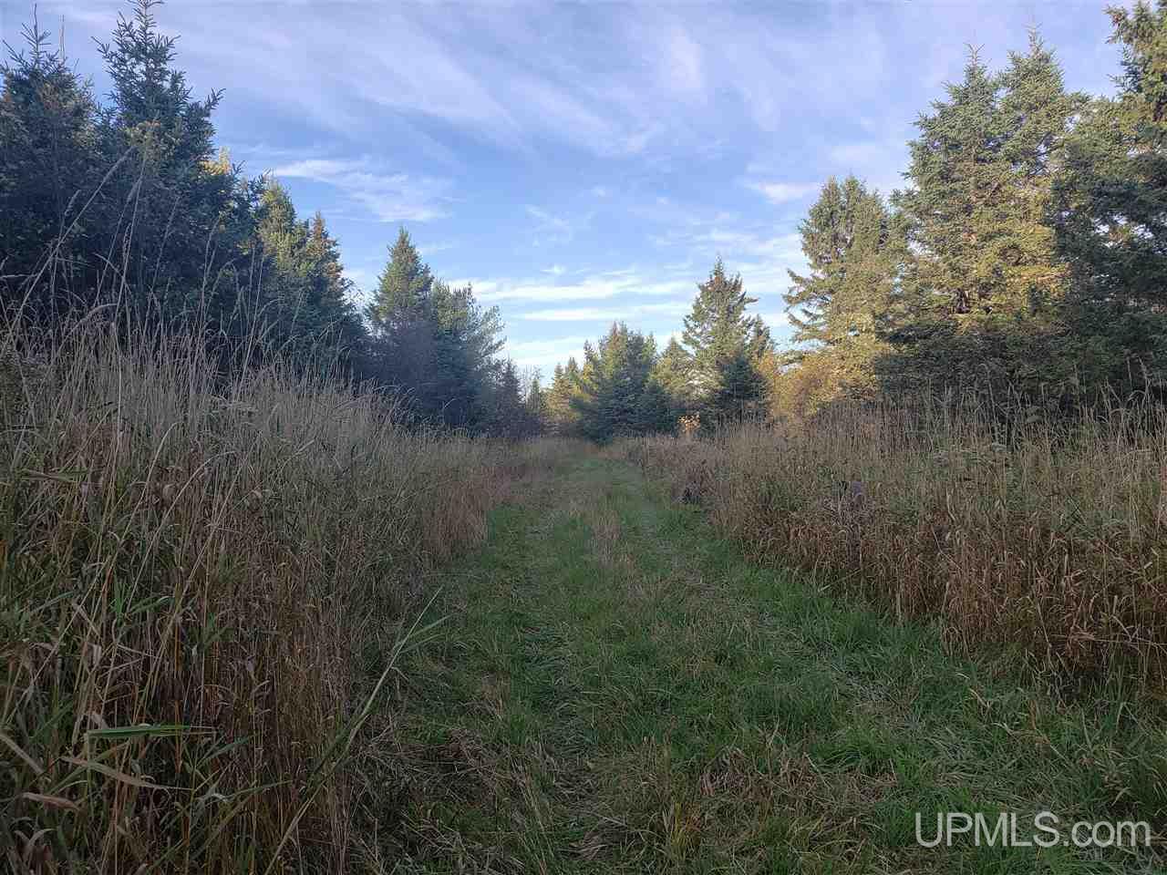 Tbd North River Road Chassell, MI 49916 - Photo 14 of 25 Gallery Image 14