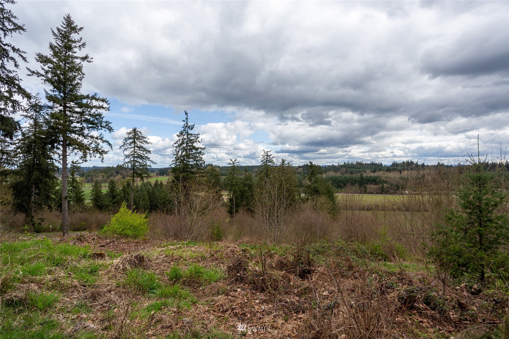 12409 Case Road Southwest Olympia, WA 98512 - Photo 34 of 34 a view of lake with green space