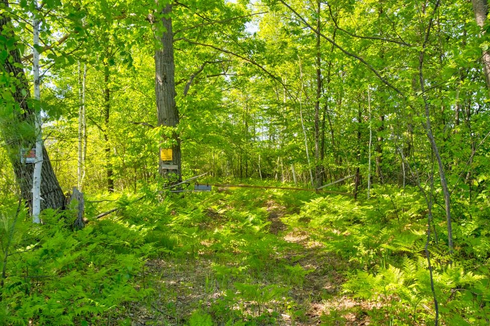 Nettleton Road Marinette, WI 54143 - Photo 11 of 13