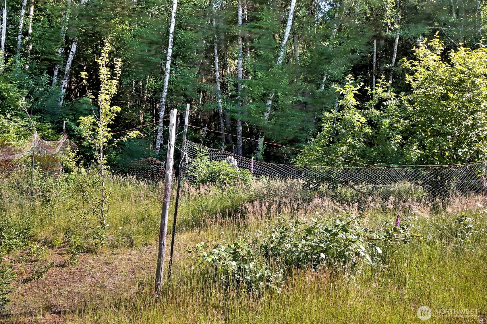 434 West Bulb Farm Road Shelton, WA 98584 - Photo 18 of 24 Gallery Image 18