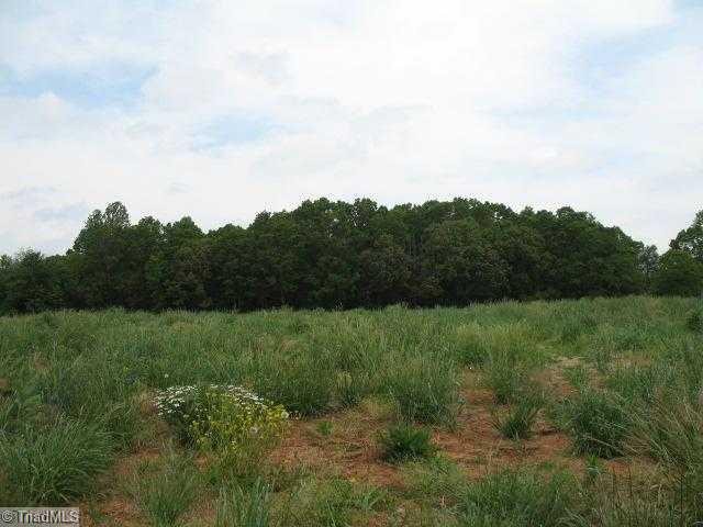 0 Spencer Road Randleman, NC 27317 - Photo 1 of 5 Land/Lot. Front View of Property