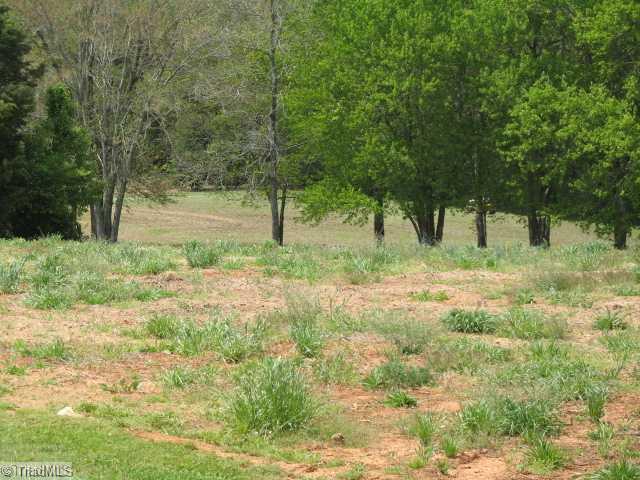 0 Spencer Road Randleman, NC 27317 - Photo 3 of 5 Land/Lot. Left Hand side of lot sloops gently to the neighbors land, ready to build on or farm