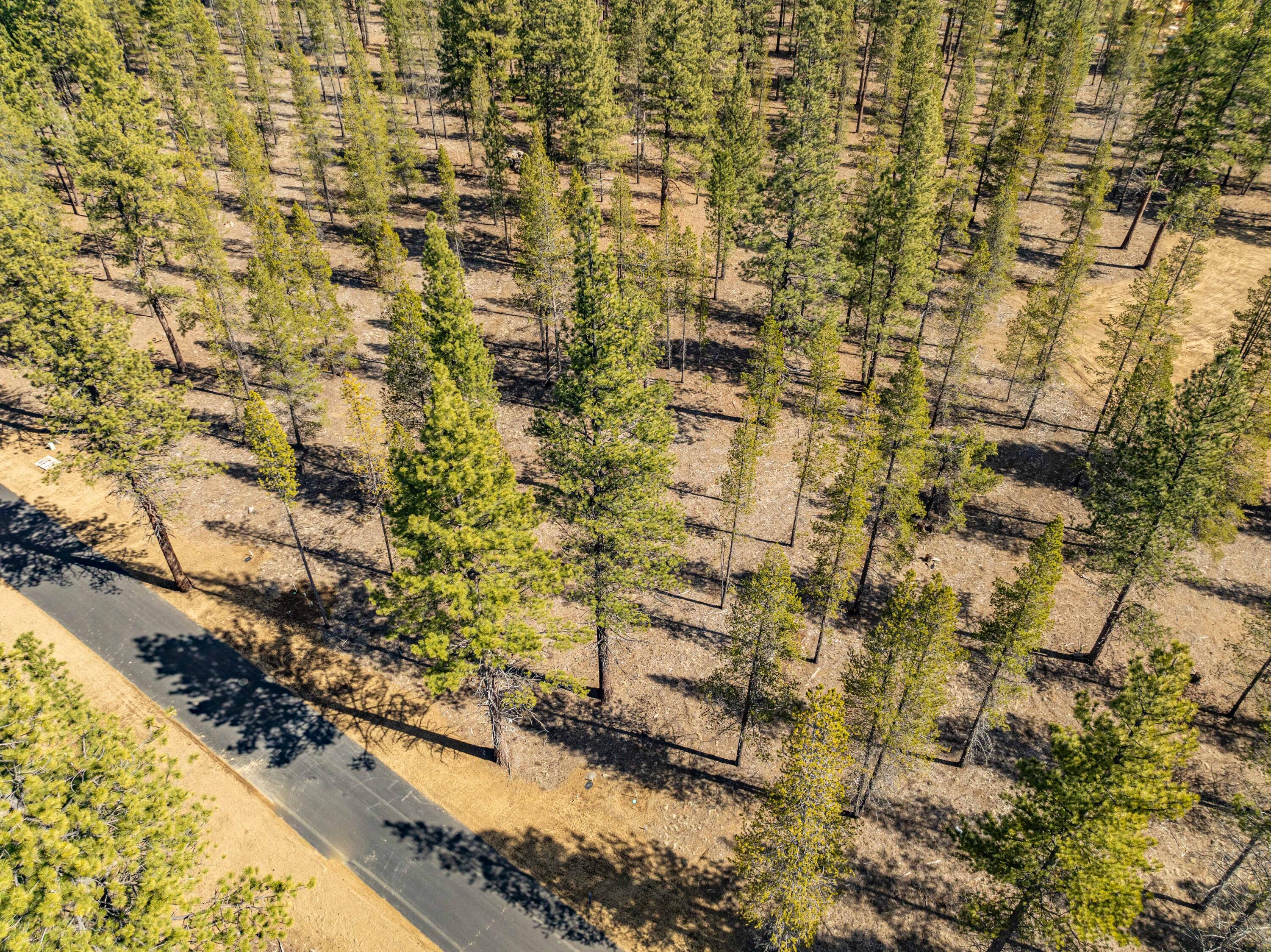 Preservation Loop Bend, Unit 490 Bend, OR 97707 - Photo 7 of 20 DJI_0791-HDR