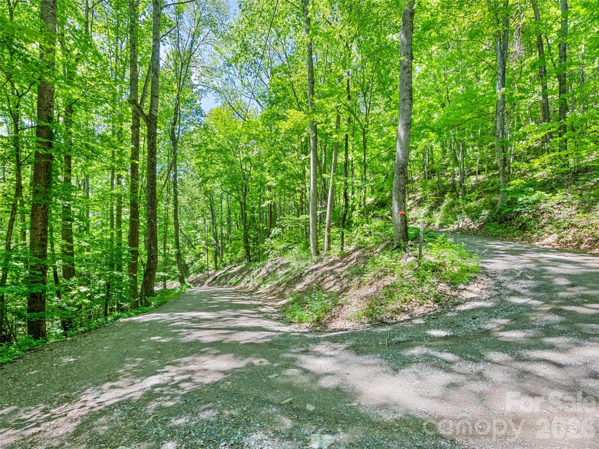 0 Rustic Road Waynesville, NC 28786 - Photo 3 of 11