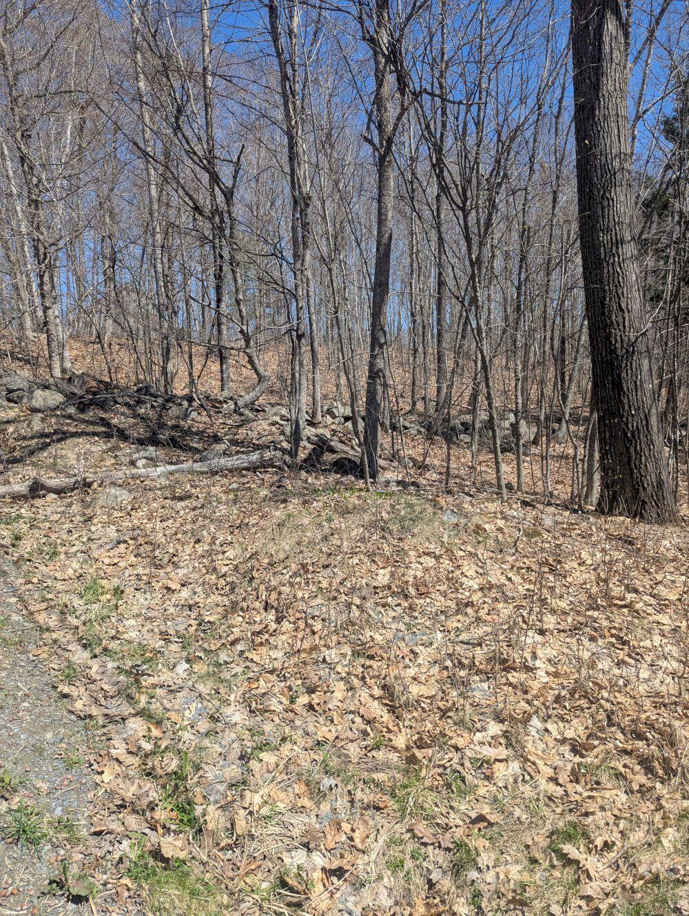 M9-l7 Finson Road St. Albans, ME 04971 - Photo 1 of 4 1000001409