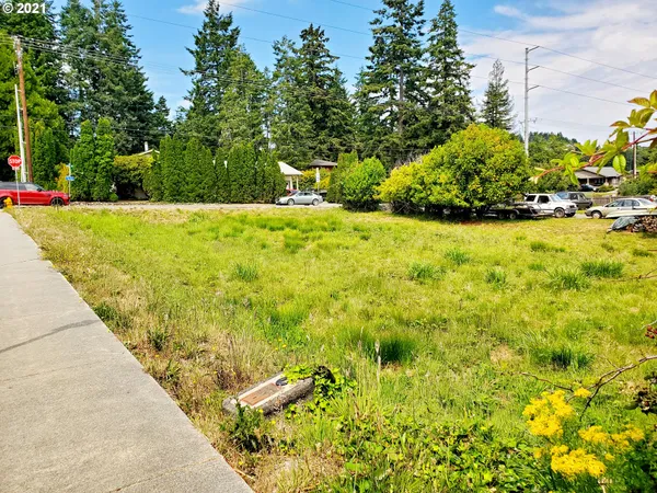 a view of a yard with plants