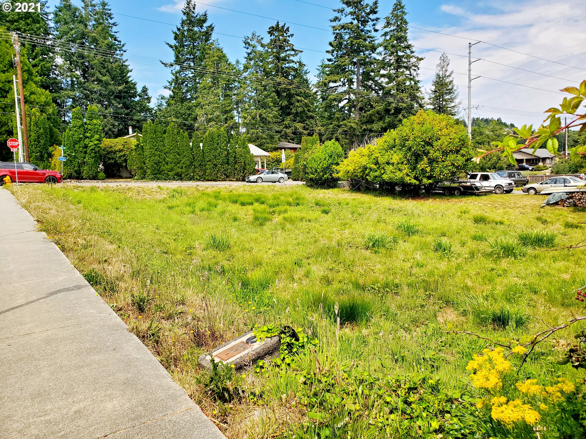 0 Easy Brookings, OR 97415 - Photo 6 of 10 a view of a yard with plants