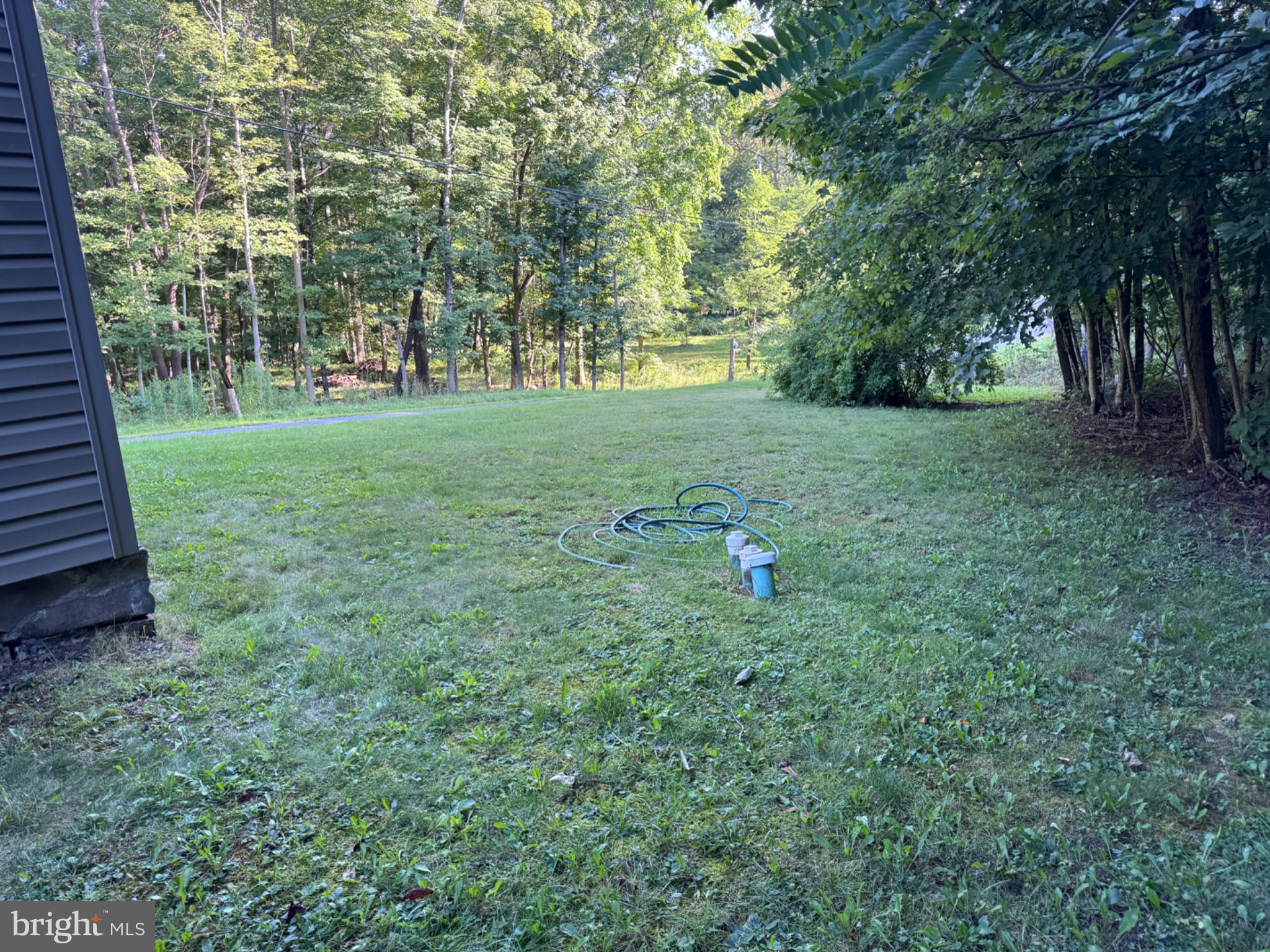 177 Leighty Road Hopewell, PA 16650 - Photo 15 of 15 side yard bordered by trees