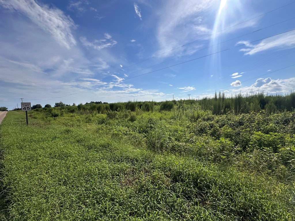 3-acres 3-acres Bill Yance Road Dothan, AL 36301 - Photo 2 of 7