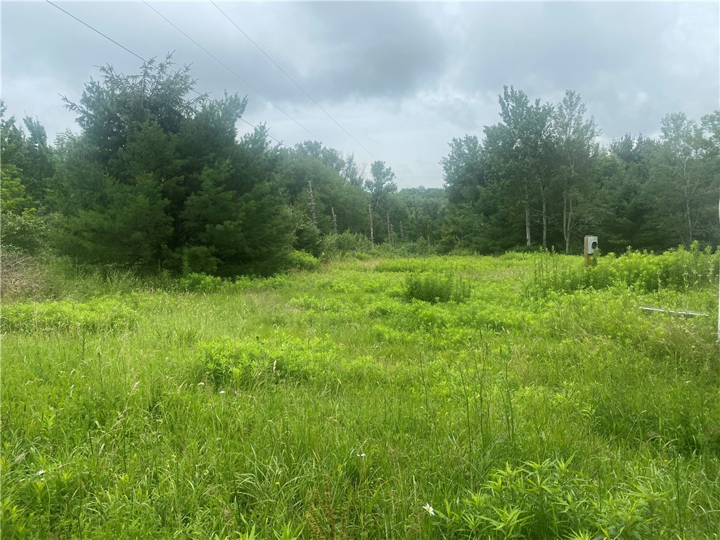 2821 Davis Road Fremont, NY 14826 - Photo 1 of 1 Gallery Image 1