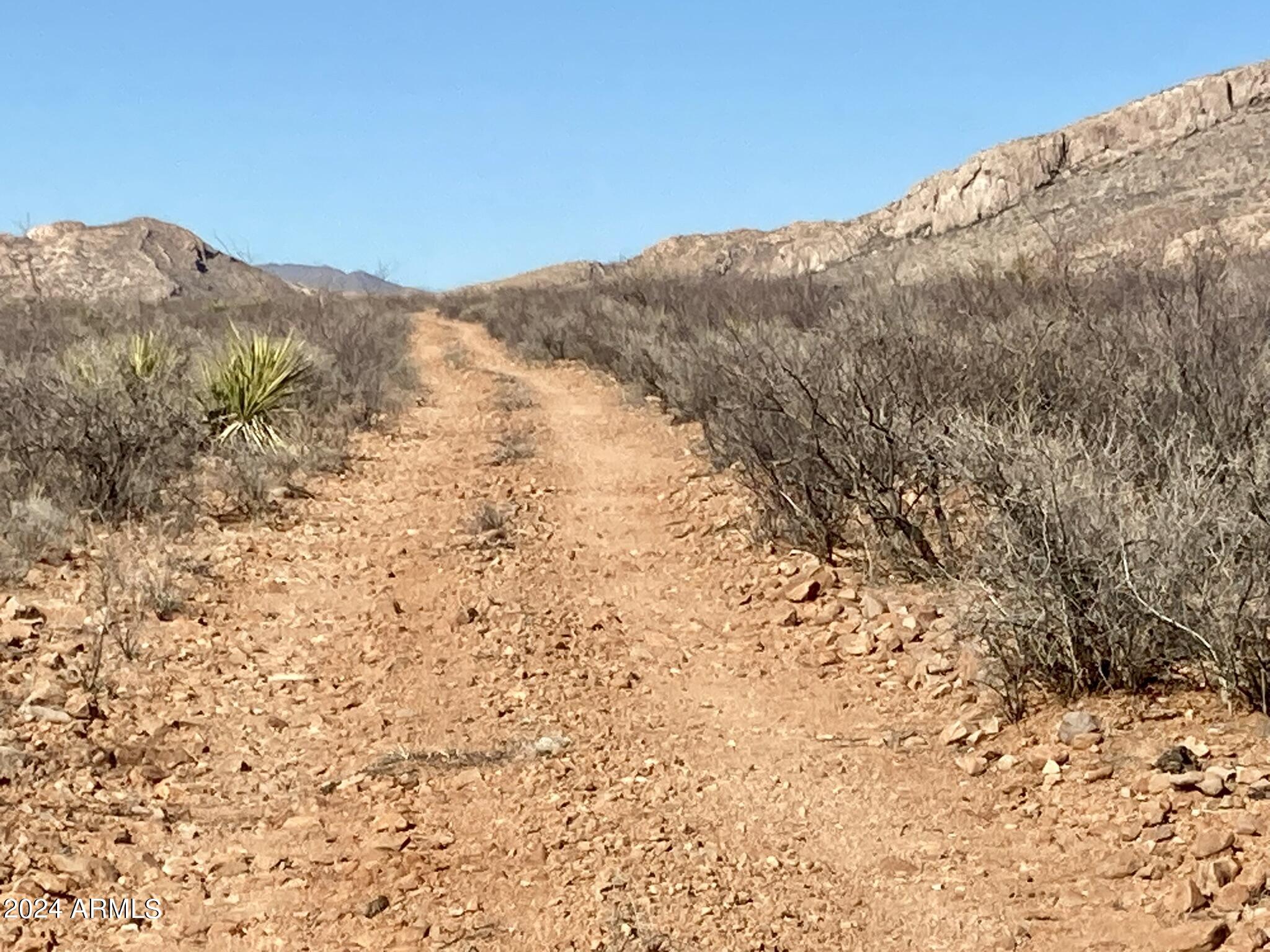 Tbd North Wilderness Trail, Unit 98 Douglas, AZ 85607 - Photo 2 of 11 Wilderness Trail 1