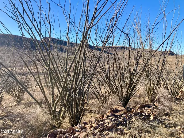 $153,400 | Tbd North Wilderness Trail, Unit 98, Douglas, AZ 85607