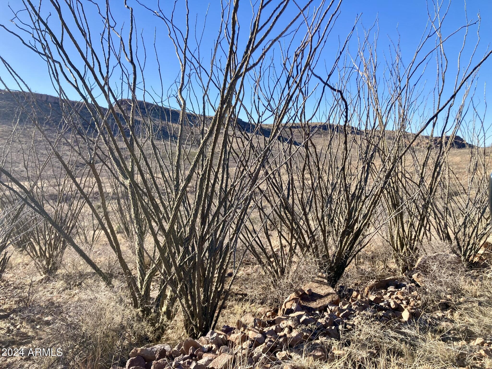 Tbd North Wilderness Trail, Unit 98 Douglas, AZ 85607 - Photo 3 of 11 Wilderness Trail 2