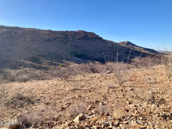 $153,400 | Tbd North Wilderness Trail, Unit 98, Douglas, AZ 85607