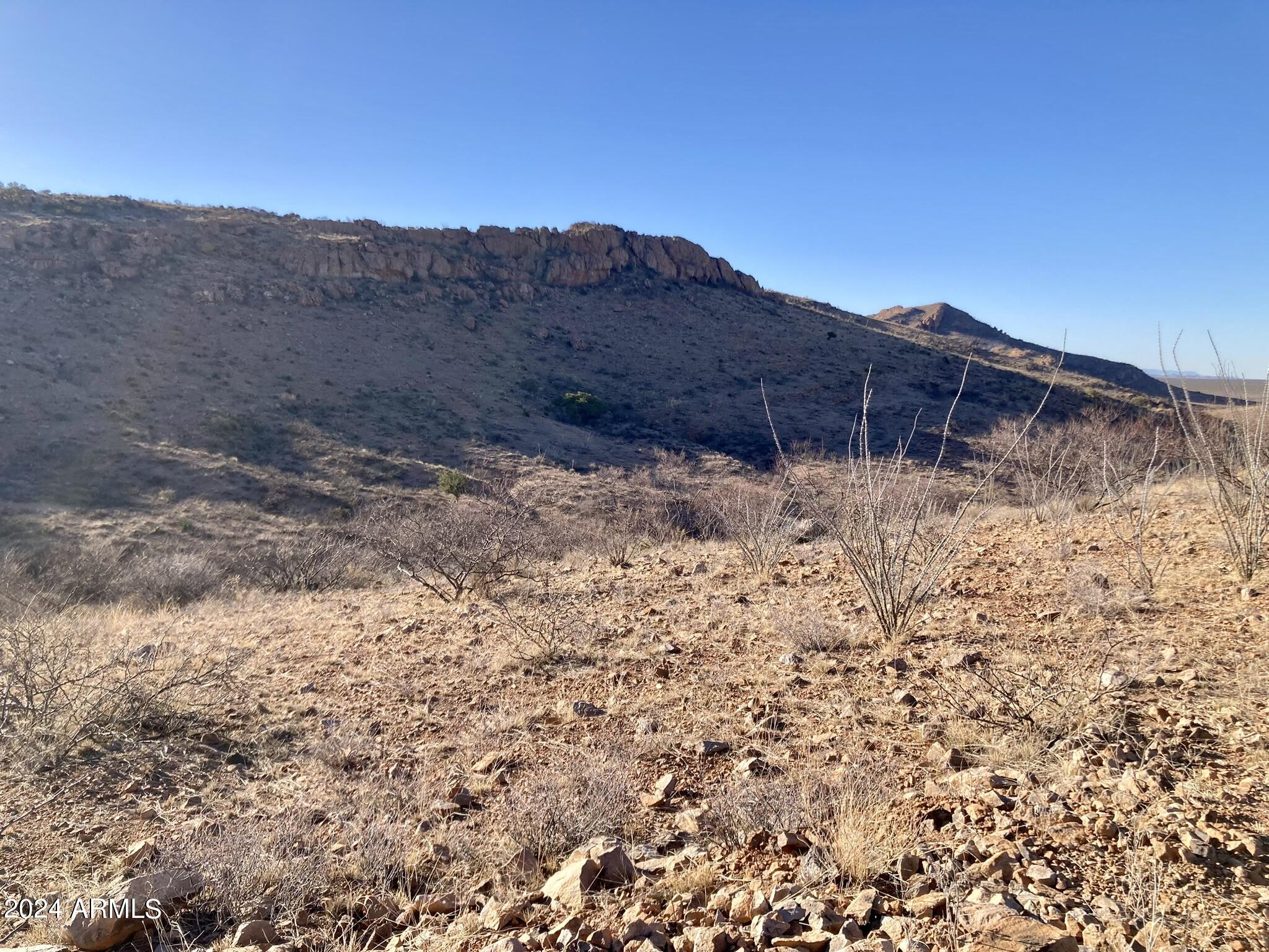 Tbd North Wilderness Trail, Unit 98 Douglas, AZ 85607 - Photo 4 of 11 Wilderness Trail 3