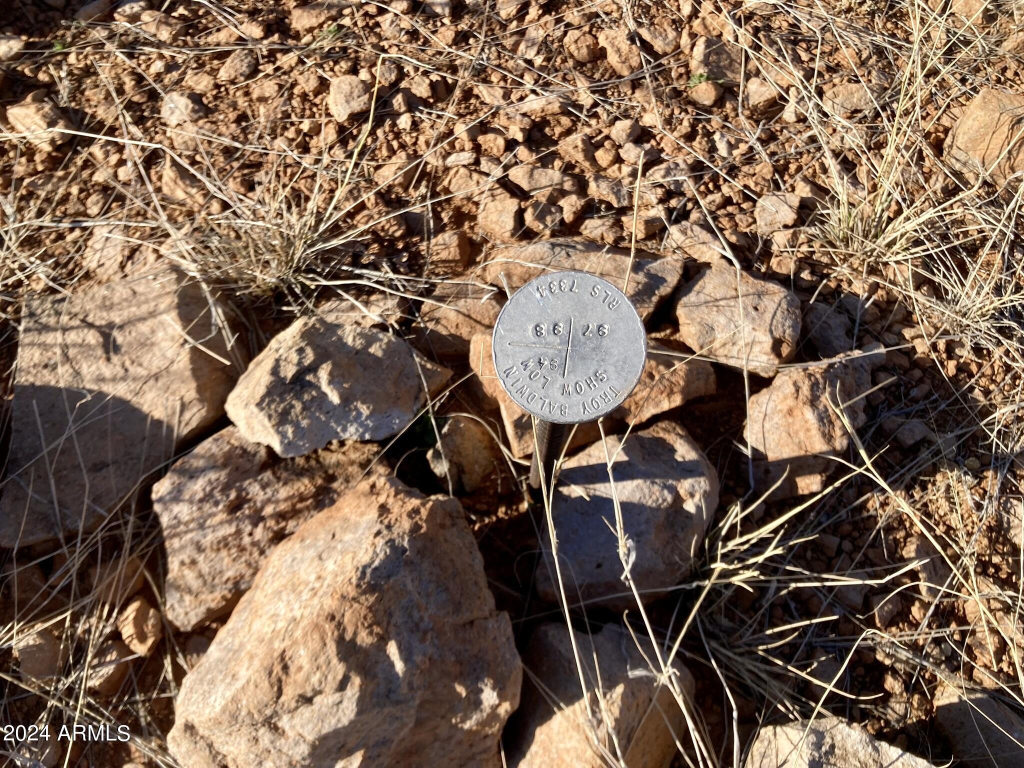 Tbd North Wilderness Trail, Unit 98 Douglas, AZ 85607 - Photo 5 of 11 Wilderness Trail 4