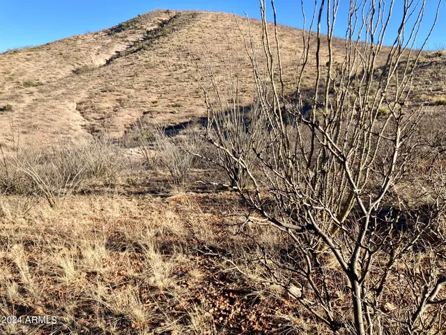 $175,000 | Tbd North Wilderness Trail, Unit 98, Douglas, AZ 85607