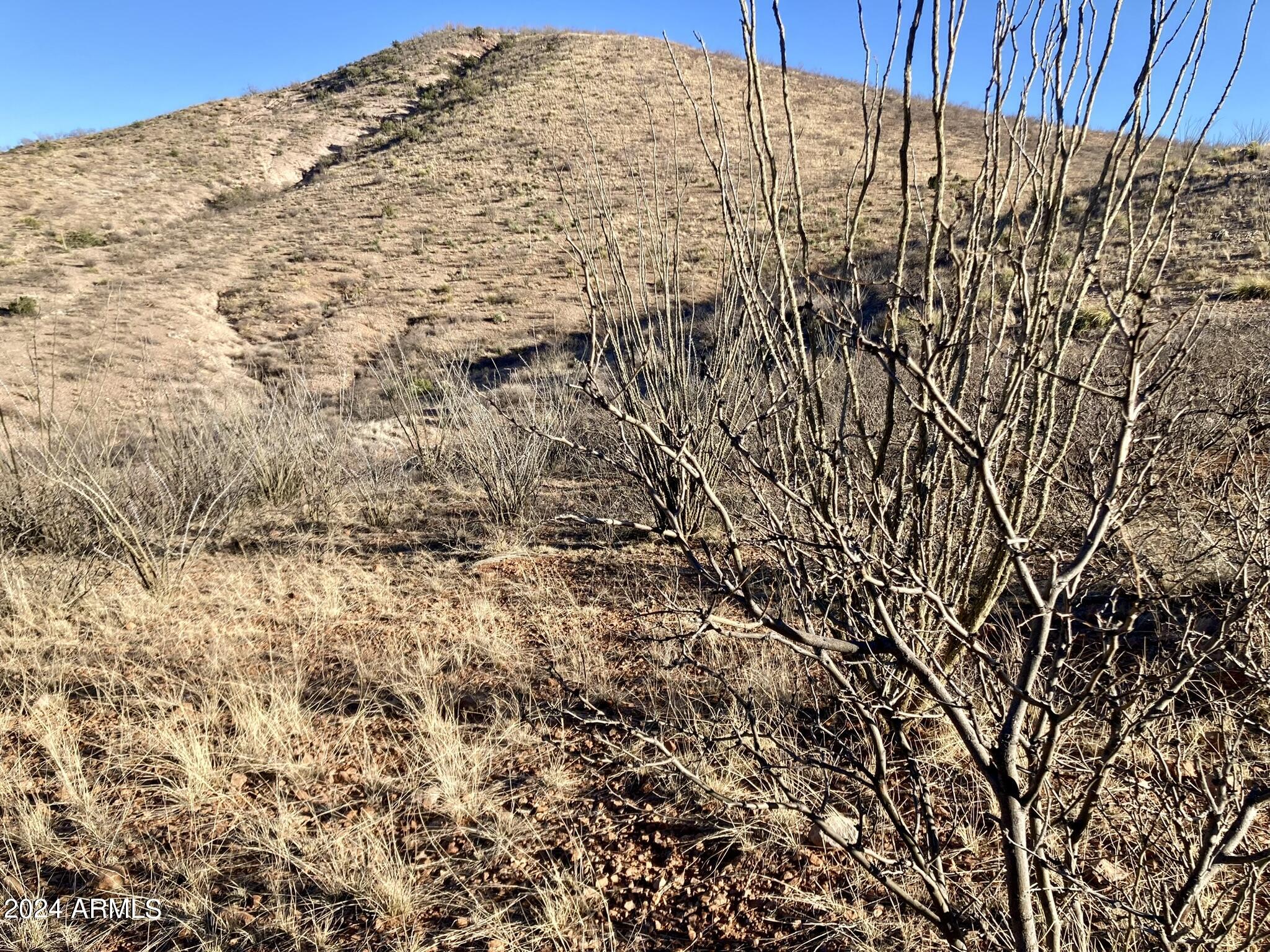 Tbd North Wilderness Trail, Unit 98 Douglas, AZ 85607 - Photo 6 of 11 Wilderness Trail 5