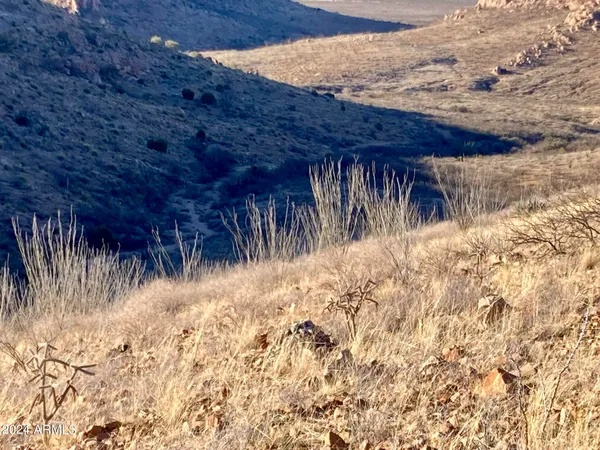 $153,400 | Tbd North Wilderness Trail, Unit 98, Douglas, AZ 85607