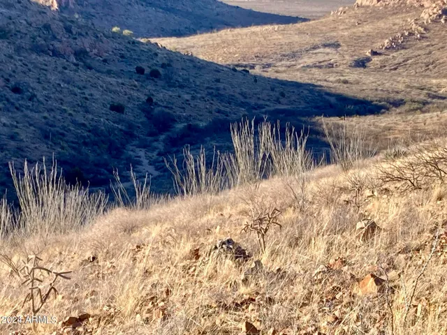 $175,000 | Tbd North Wilderness Trail, Unit 98, Douglas, AZ 85607