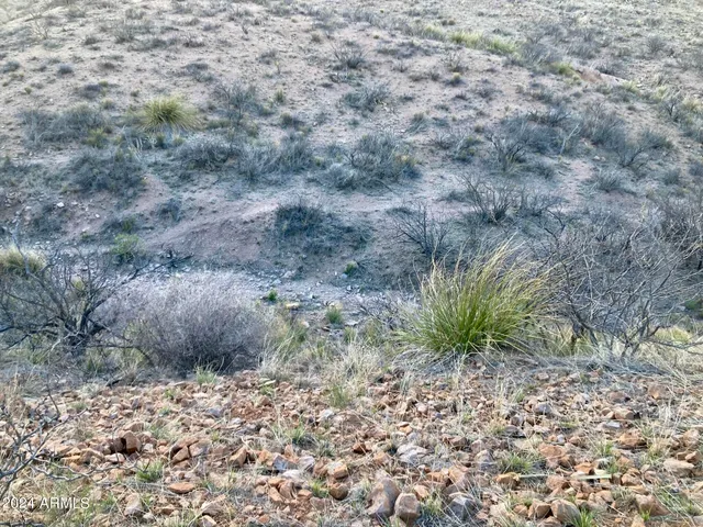 $175,000 | Tbd North Wilderness Trail, Unit 98, Douglas, AZ 85607