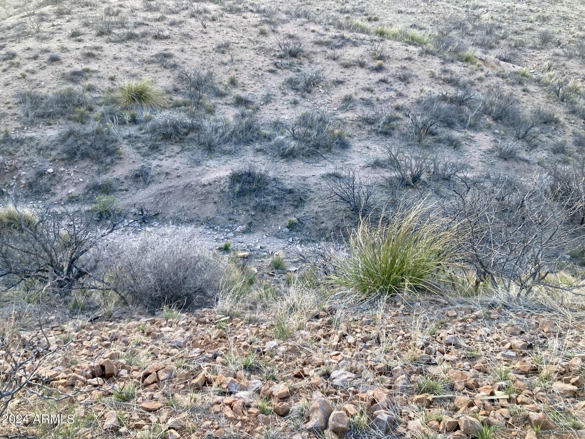 Tbd North Wilderness Trail, Unit 98 Douglas, AZ 85607 - Photo 9 of 11 Wilderness Trail 89