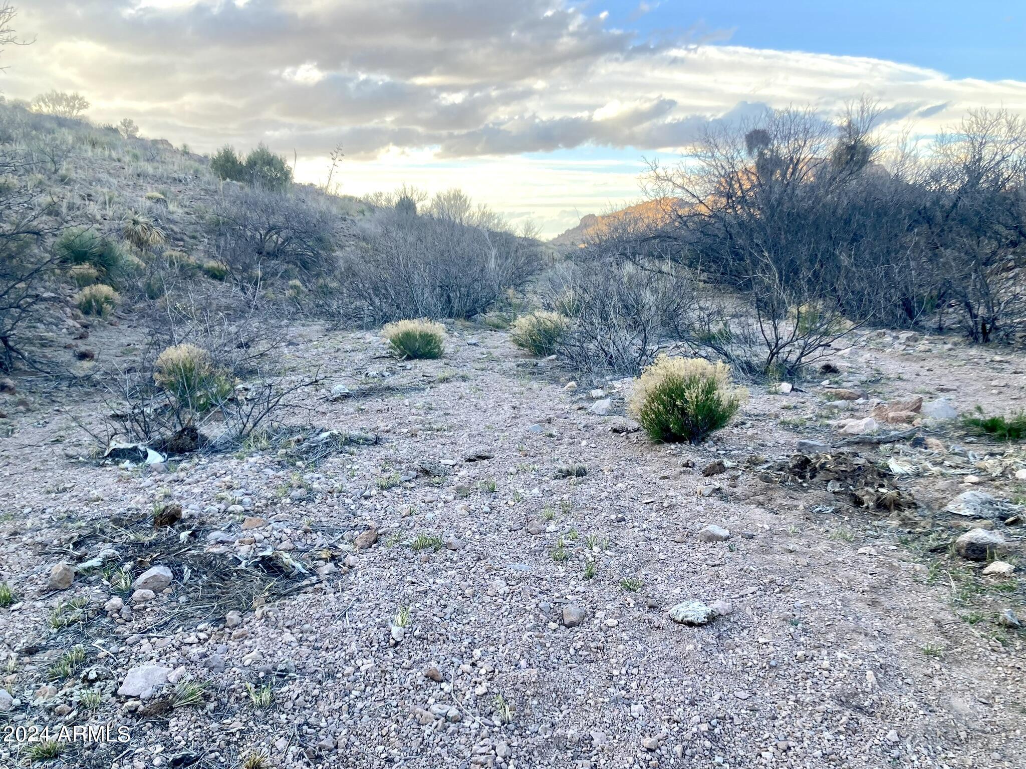 Tbd North Wilderness Trail, Unit 98 Douglas, AZ 85607 - Photo 10 of 11 Wilderness Trail 10