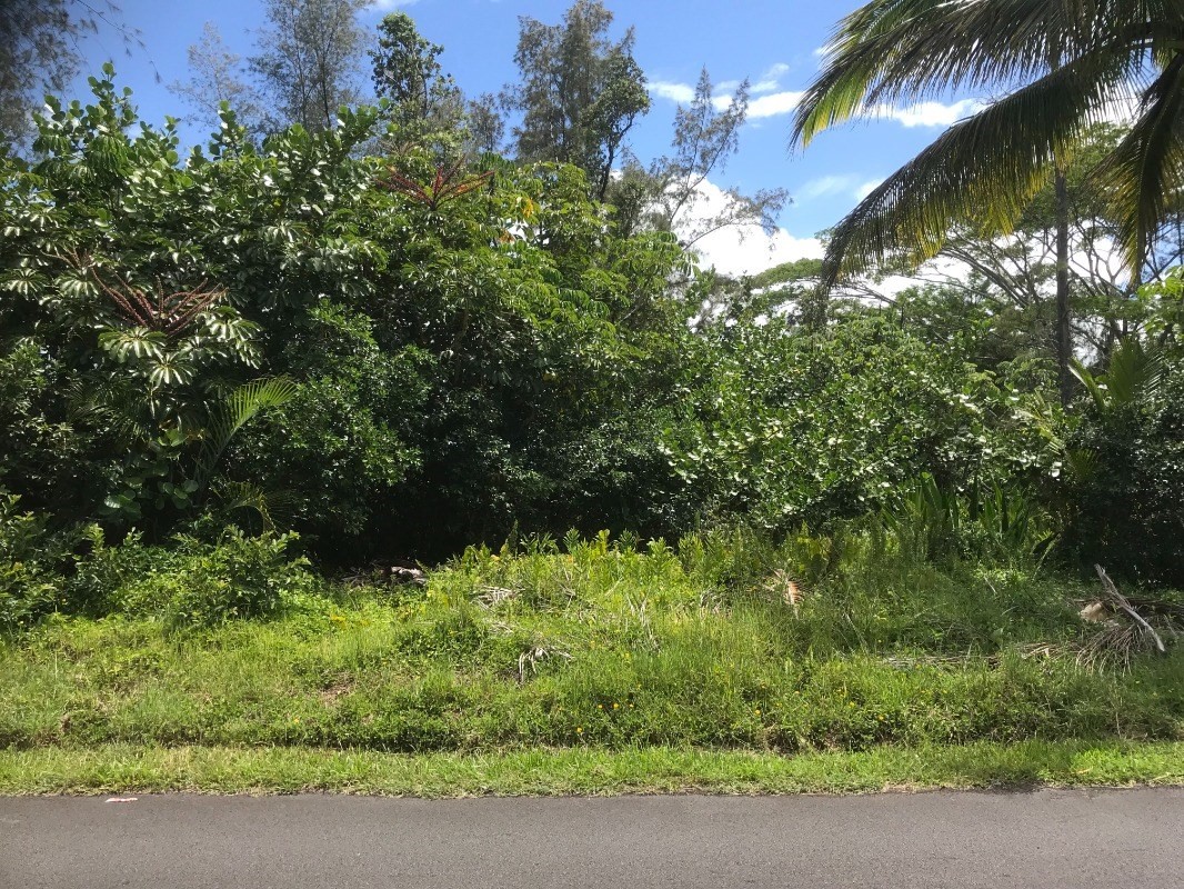 2978 Beach Road Keaau, HI 96749 - Photo 1 of 6 Gallery Image 1